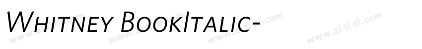Whitney BookItalic字体转换